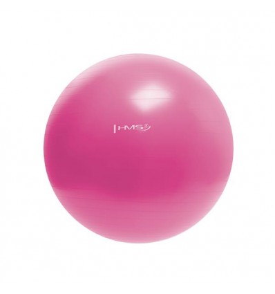 Gimnastikos kamuolys YB01 55CM GYM BALL HMS (pink)