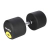 Hantelis HG PRO 60 KG RUBBER DUMBBELL HMS