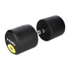 Hantelis HG PRO 70 KG RUBBER DUMBBELL HMS