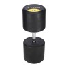 Hantelis HG PRO 70 KG RUBBER DUMBBELL HMS