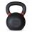 Gira Thorn + Fit CC 2.0 Kettlebell 28kg