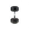 Hantelis PROUD HEX DUMBBELL : Svoris - 17.5kg