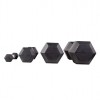 Hantelis PROUD HEX DUMBBELL : Svoris - 17.5kg