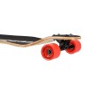 Longboardas LONGBOARD WOOD EYE NILS EXTREME