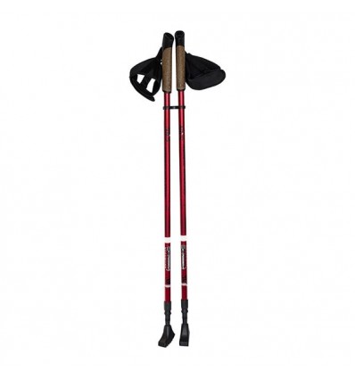 Šiaurietiško ėjimo lazdos NW802 NORDIC WALKING POLES NILS