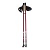 Šiaurietiško ėjimo lazdos NW802 NORDIC WALKING POLES NILS