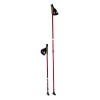 Šiaurietiško ėjimo lazdos NW802 NORDIC WALKING POLES NILS