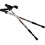 Šiaurietiško ėjimo lazdos TK631 TREKKING POLES NILS