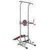 Daugiafunkcinis treniruoklis PWL2521 MULTIFUNCTIONAL PULL UP DEVICE WITH BENCH HMS