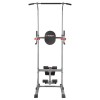 Daugiafunkcinis treniruoklis PWL2521 MULTIFUNCTIONAL PULL UP DEVICE WITH BENCH HMS