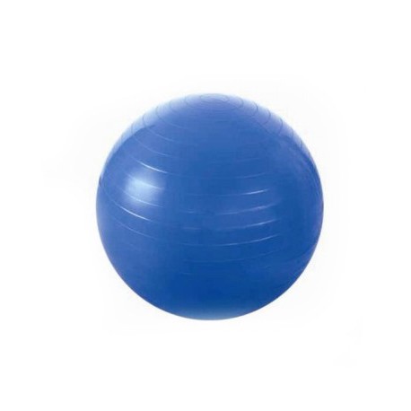 Gimnastikos kamuolys YB01 55CM GYM BALL HMS (blue)