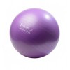 Gimnastikos kamuolys YB02 65CM GYM BALL HMS (purple)