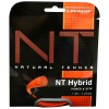 Stygos tenisui Dunlop NT HYBRID oranž. 1.35/1.27mm