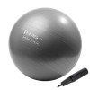 Gimnastikos kamuolys YB02 75CM GYM BALL HMS (steel)